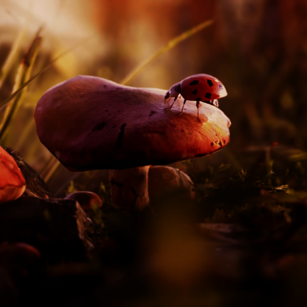 Close-up of a ladybug on a mushroom in a warmly lit 3D forest scene.