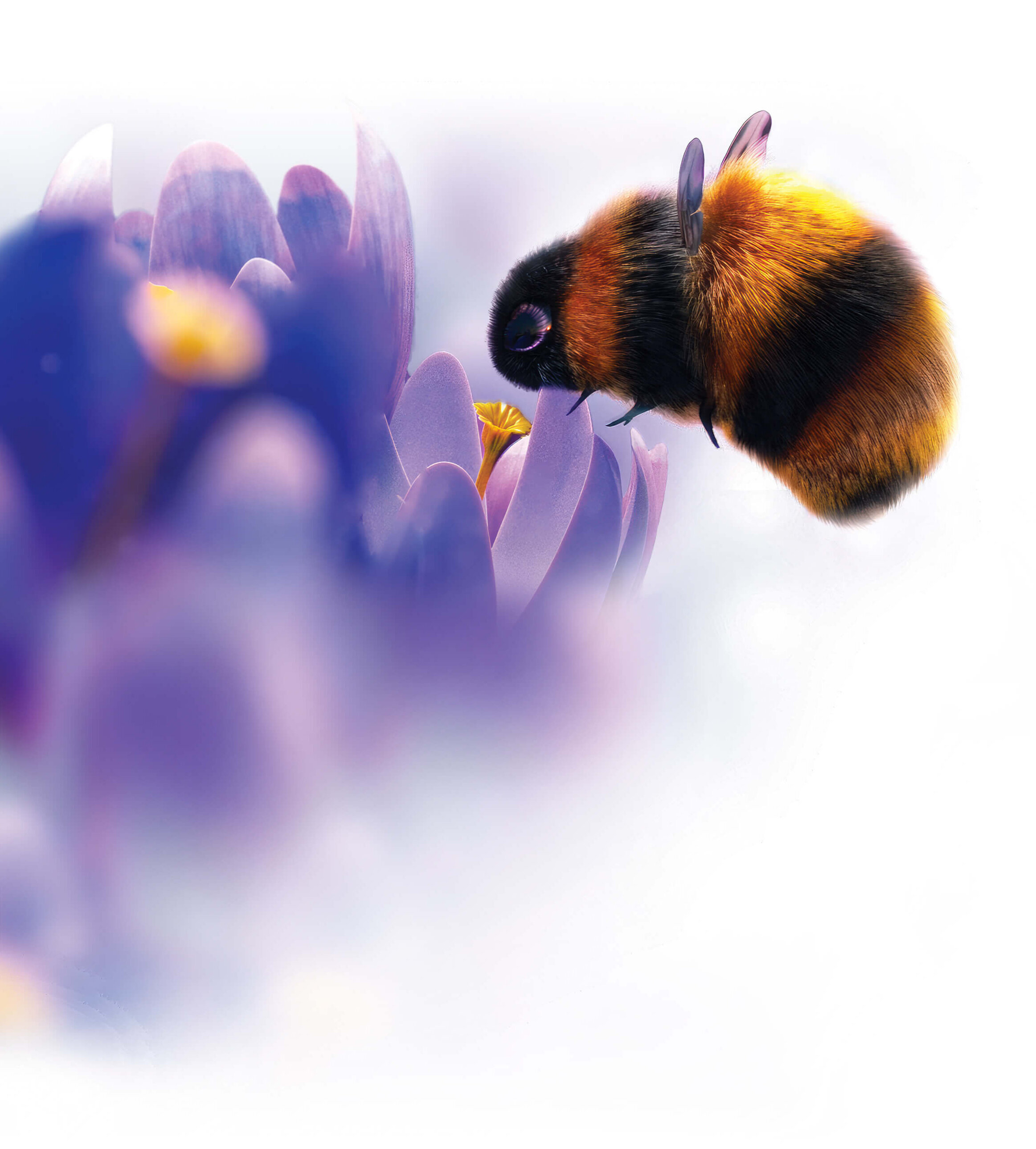 Realistisch gerendertes 3D-Modell einer flauschigen Hummel, die an einer stilisierten violett-lila Blüte saugt. Das Bild hat eine weiche, helle Ästhetik mit leichtem Unschärfeeffekt im Vordergrund.