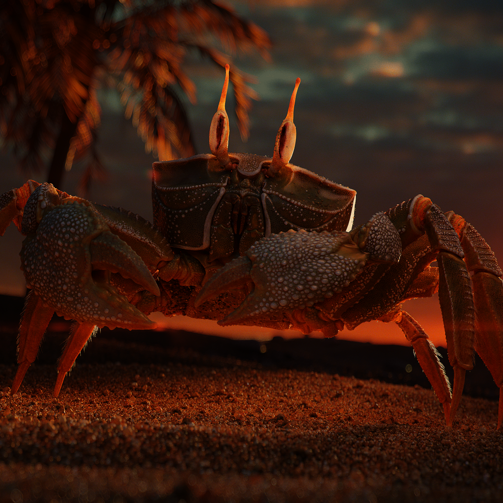 A realistically modeled crab stands on the beach at sunset, with palm trees in the background and a sandcastle silhouette on the horizon.